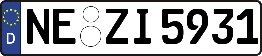 NE-ZI5931
