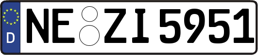 NE-ZI5951