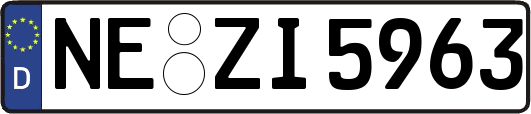 NE-ZI5963