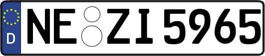 NE-ZI5965