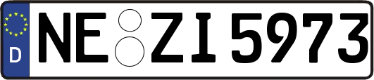 NE-ZI5973