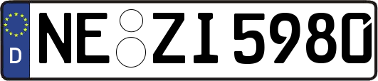 NE-ZI5980