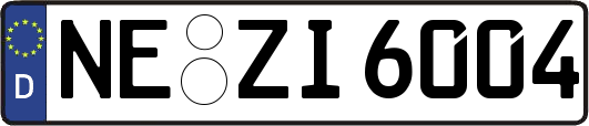 NE-ZI6004