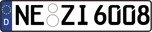 NE-ZI6008
