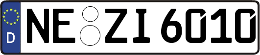 NE-ZI6010