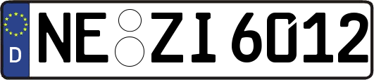 NE-ZI6012