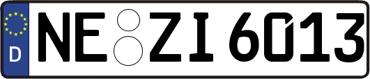 NE-ZI6013