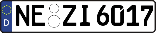 NE-ZI6017