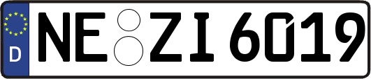 NE-ZI6019