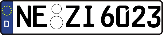 NE-ZI6023