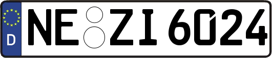 NE-ZI6024