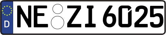 NE-ZI6025