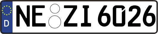 NE-ZI6026