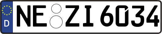 NE-ZI6034