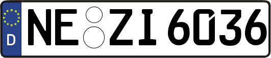 NE-ZI6036