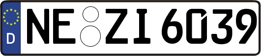 NE-ZI6039