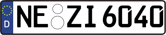 NE-ZI6040