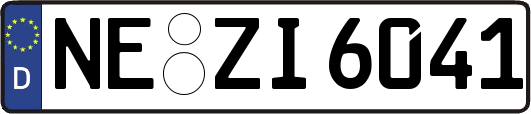 NE-ZI6041