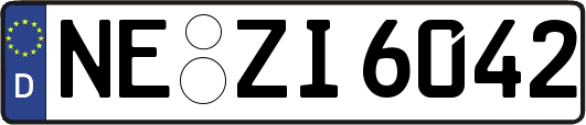NE-ZI6042