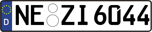 NE-ZI6044