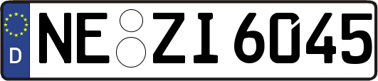 NE-ZI6045