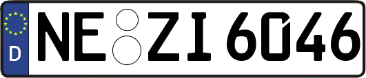 NE-ZI6046