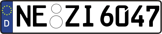 NE-ZI6047