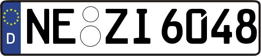 NE-ZI6048