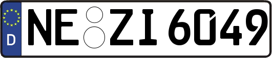 NE-ZI6049