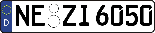 NE-ZI6050