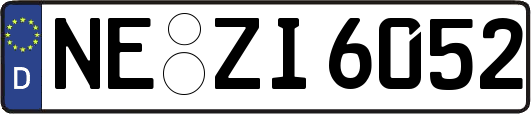 NE-ZI6052