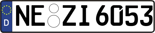 NE-ZI6053