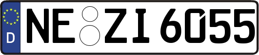NE-ZI6055