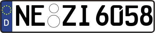 NE-ZI6058