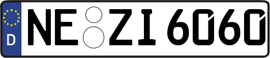 NE-ZI6060