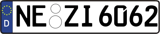 NE-ZI6062