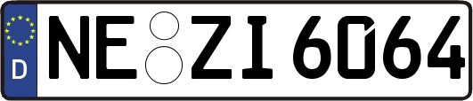 NE-ZI6064