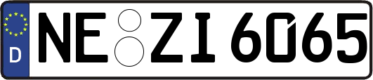 NE-ZI6065