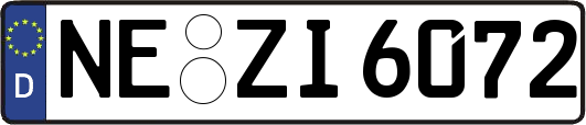 NE-ZI6072