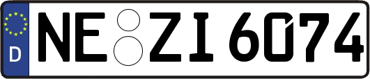 NE-ZI6074