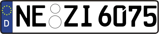 NE-ZI6075