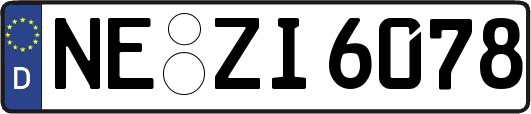 NE-ZI6078