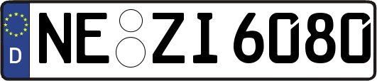 NE-ZI6080