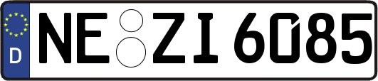 NE-ZI6085