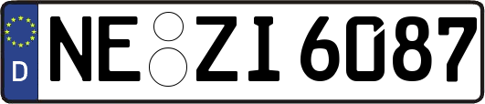 NE-ZI6087