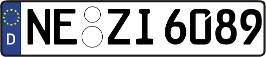 NE-ZI6089