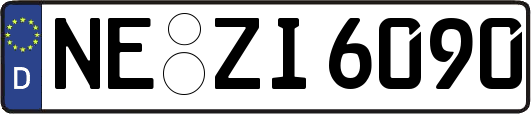 NE-ZI6090