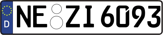 NE-ZI6093