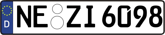NE-ZI6098
