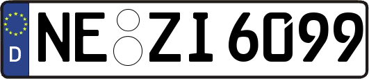 NE-ZI6099